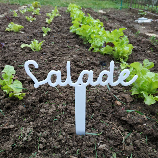 Etiquette de jardin 3D pour écrire le nom des légumes que vous plantez