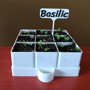 Etiquette de semis pour le jardin : basilic