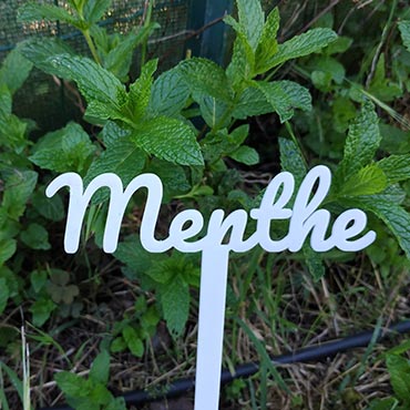 Etiquette de jardin 3D Menthe