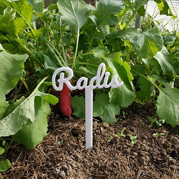 Etiquette de jardin Radis